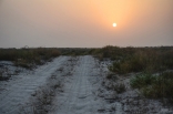 Green Belt Beach - Umm Al Quwain, UAE