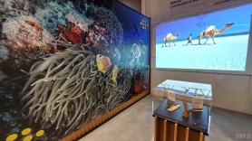 Djibouti Pavilion at EXPO 2020 Dubai